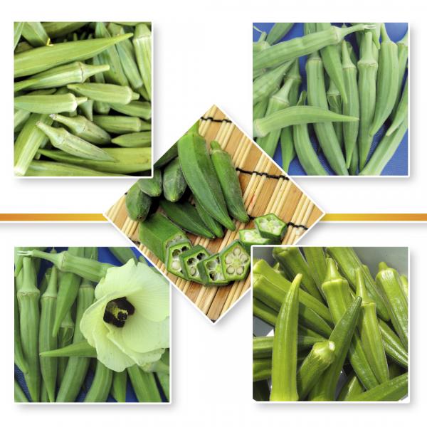 OKRA SEED