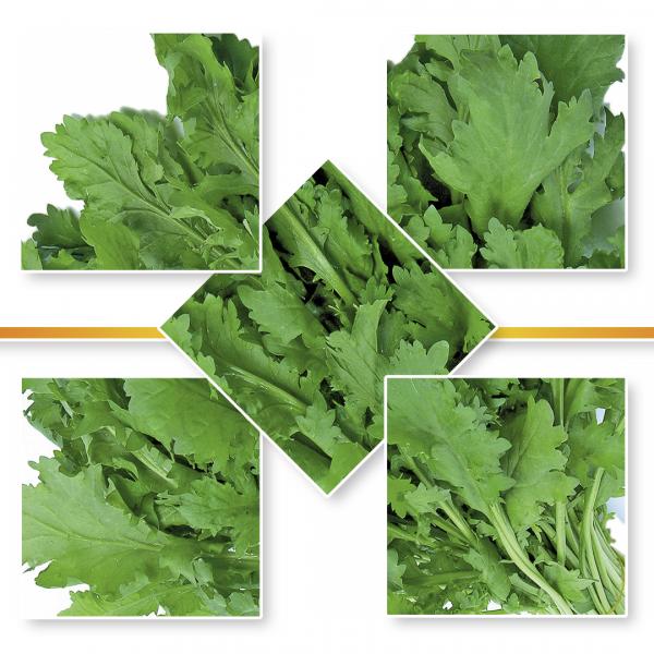 CRESS SEED