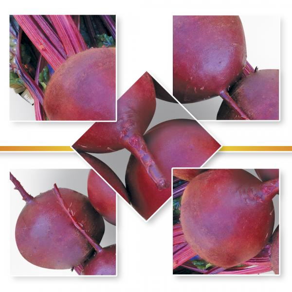 RED BEET SEED