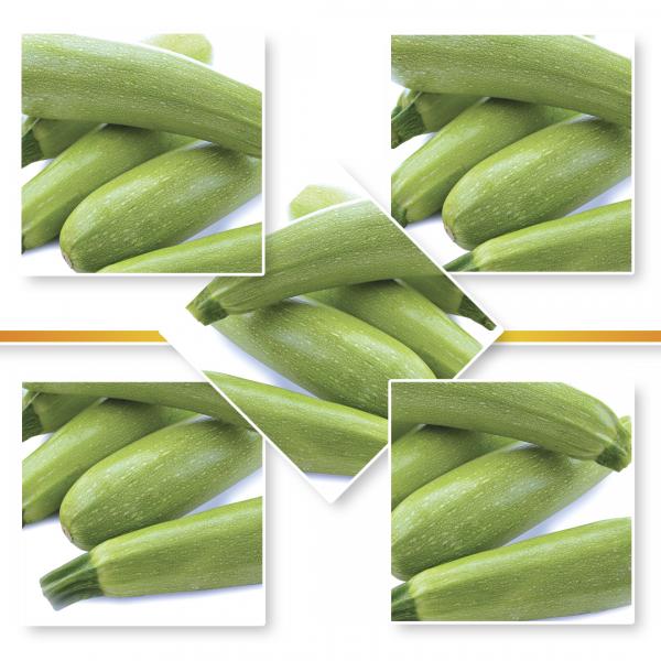 SQUASH SEED