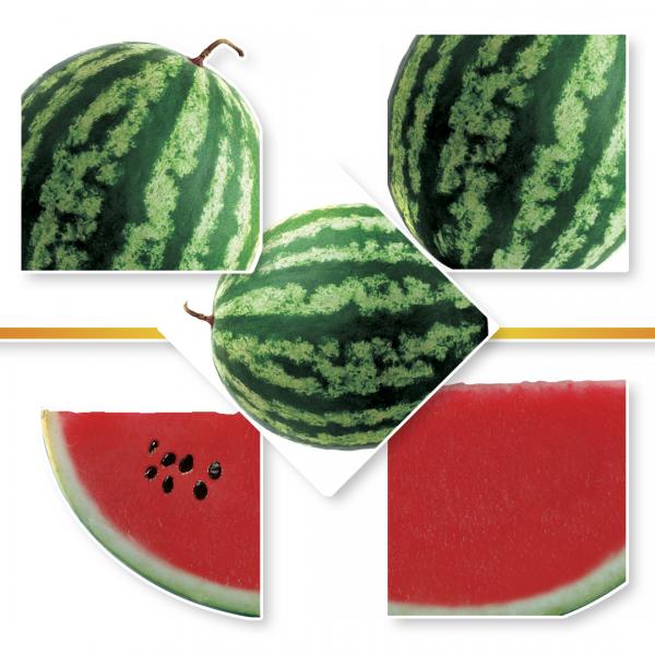 WATERMELON SEED