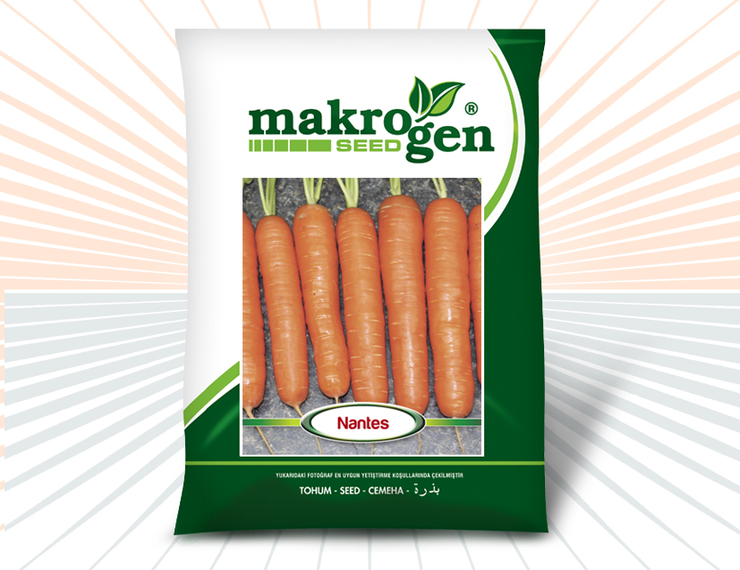 Carrot > NANTES
