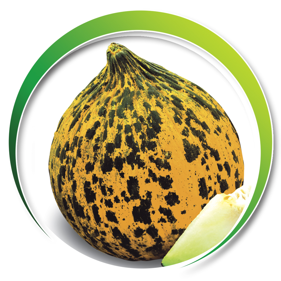 Melon > HEYCAN