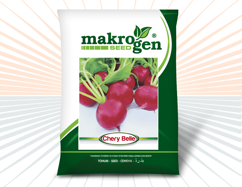 Fındık Turp > CHERY BELLE