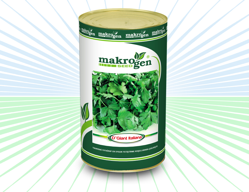 Maydanoz > D'GIANT ITALIANA
